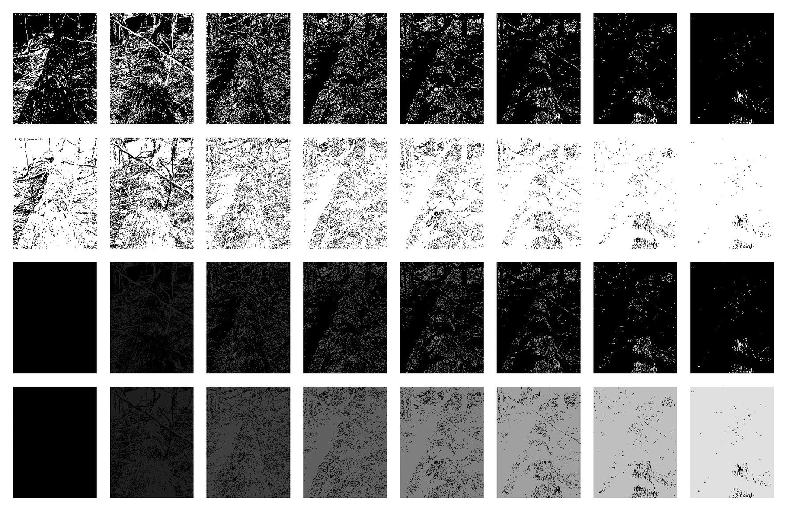fallen_tree_partition_8.pgm