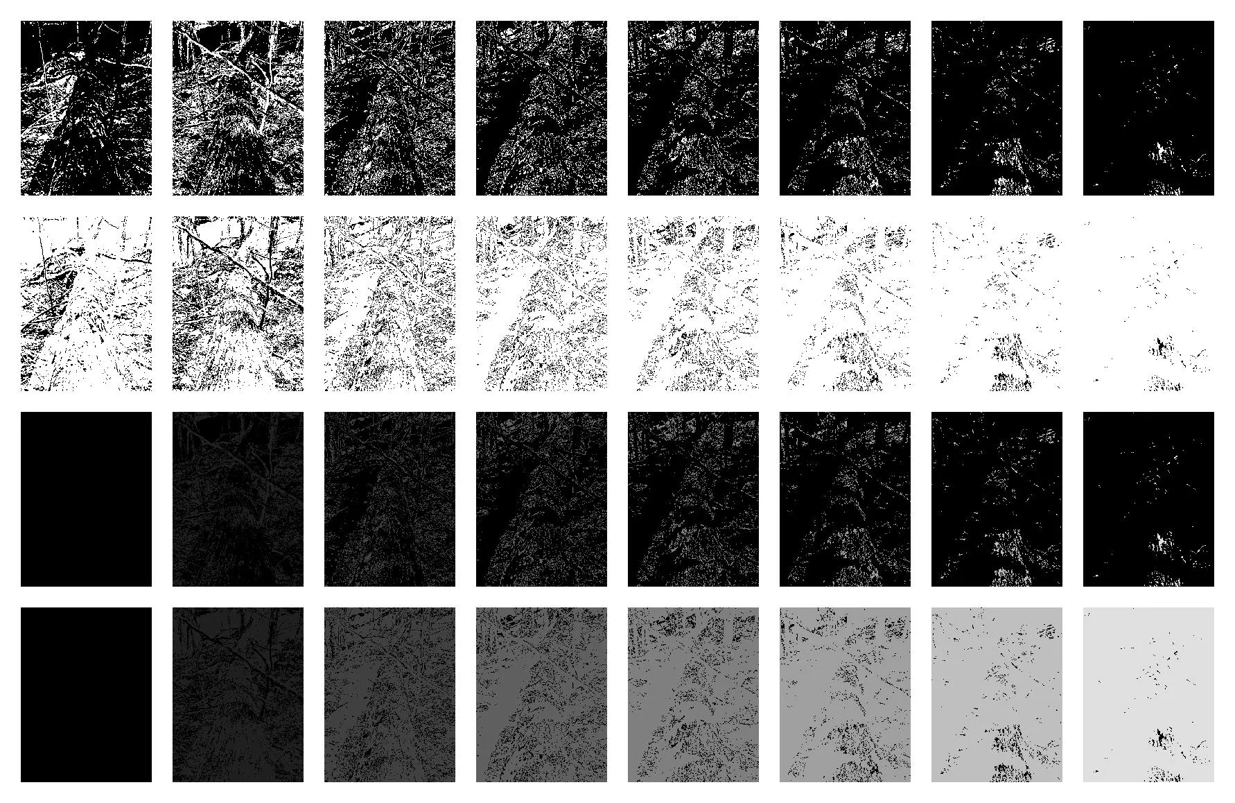 fallen_tree_partition_8.pgm