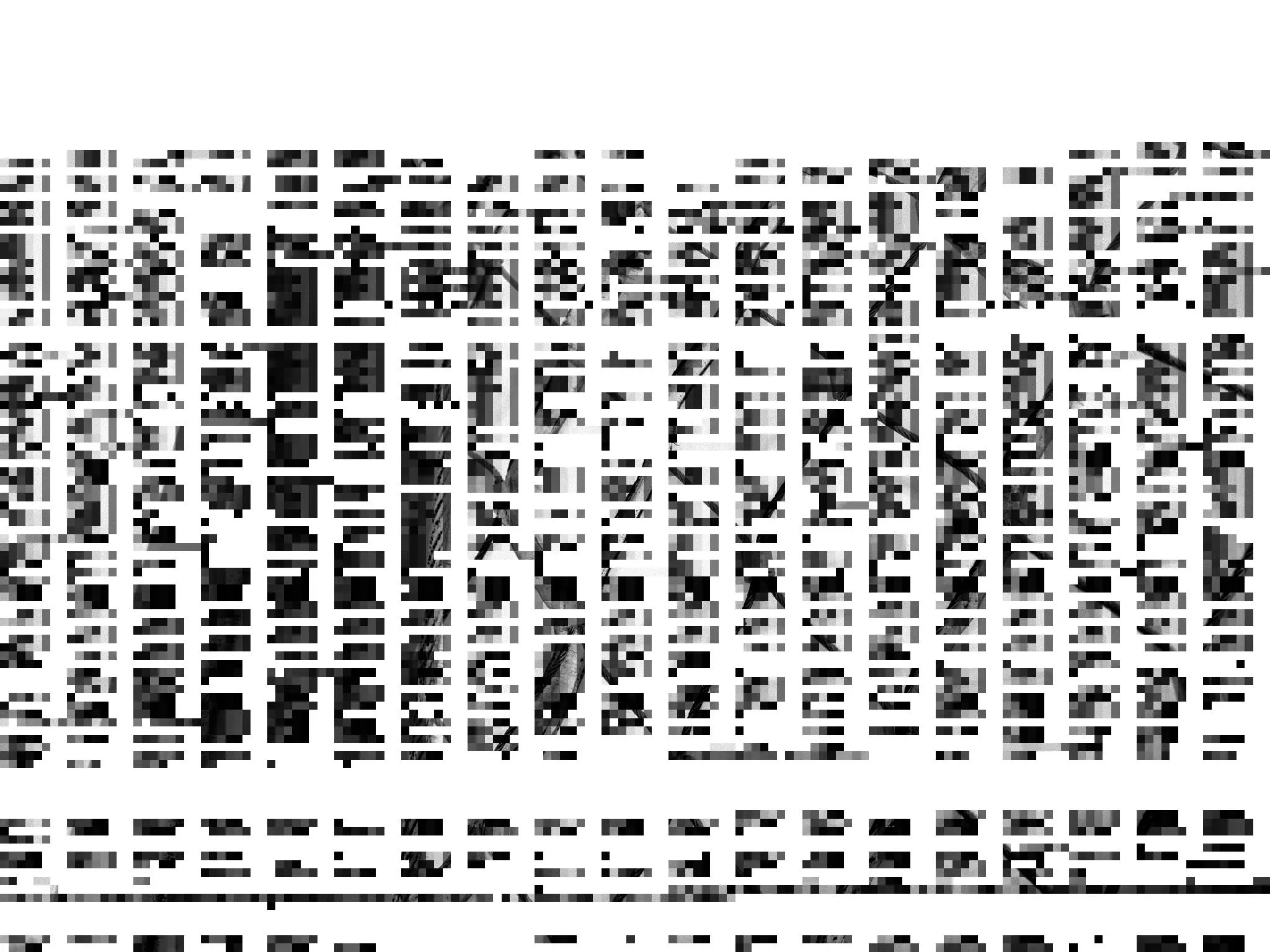 fence_glitched_memory_101.png