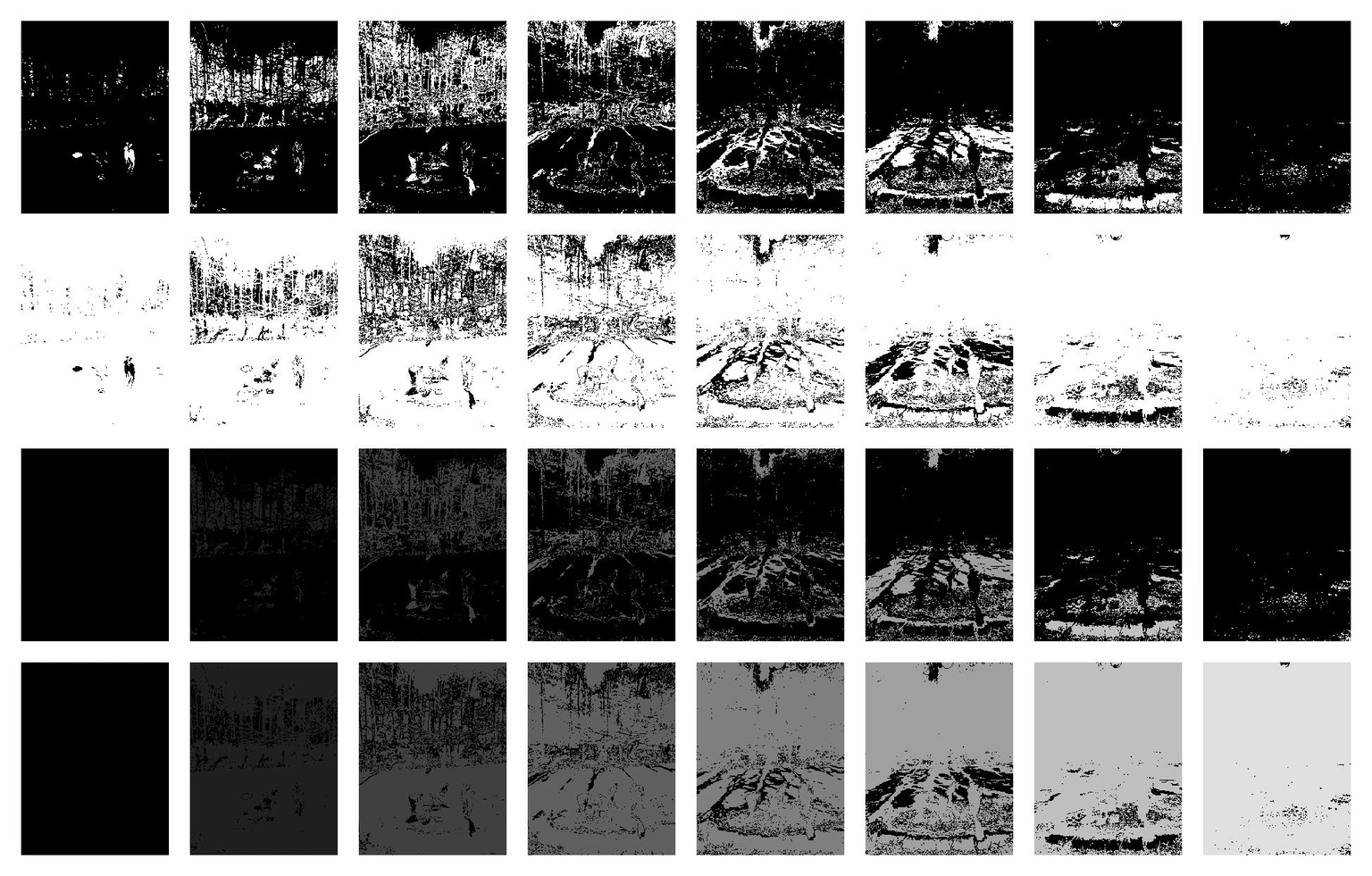 island_partition_8.pgm