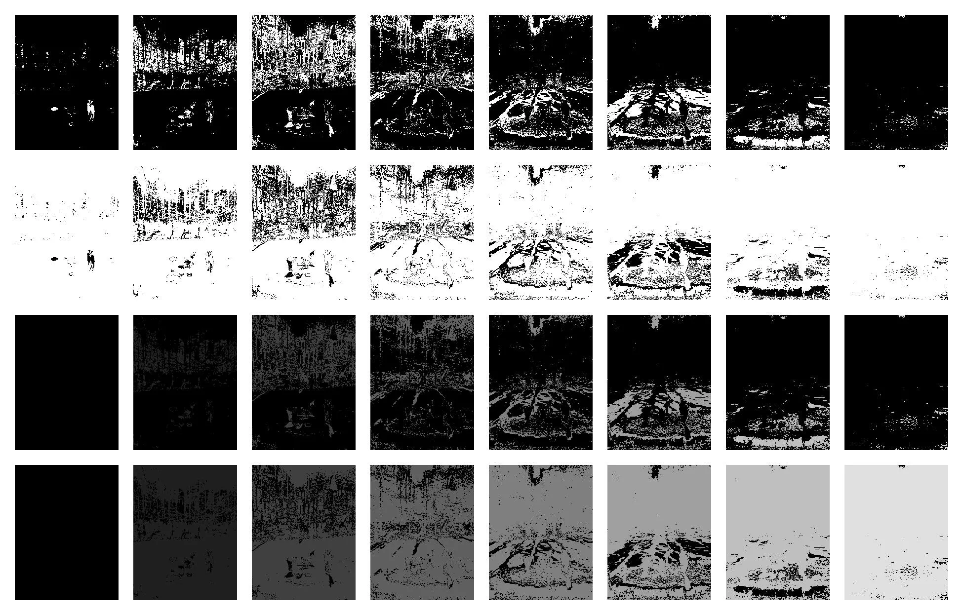 island_partition_8.pgm