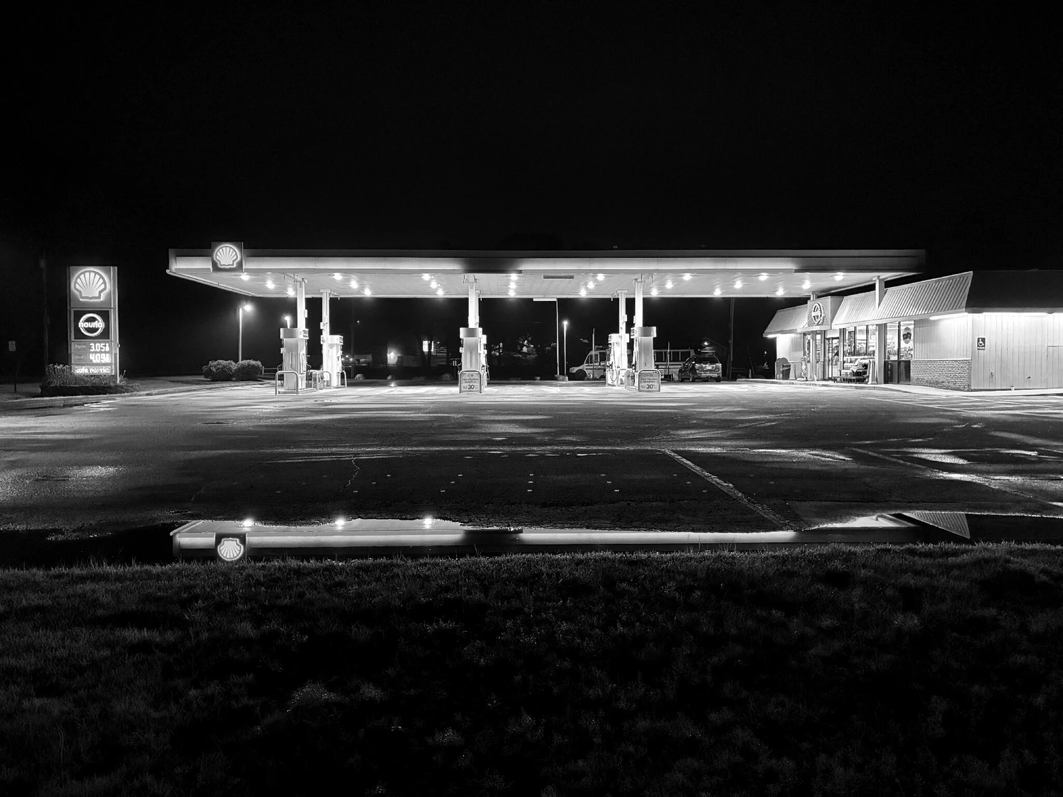 shell_lawn.jpg