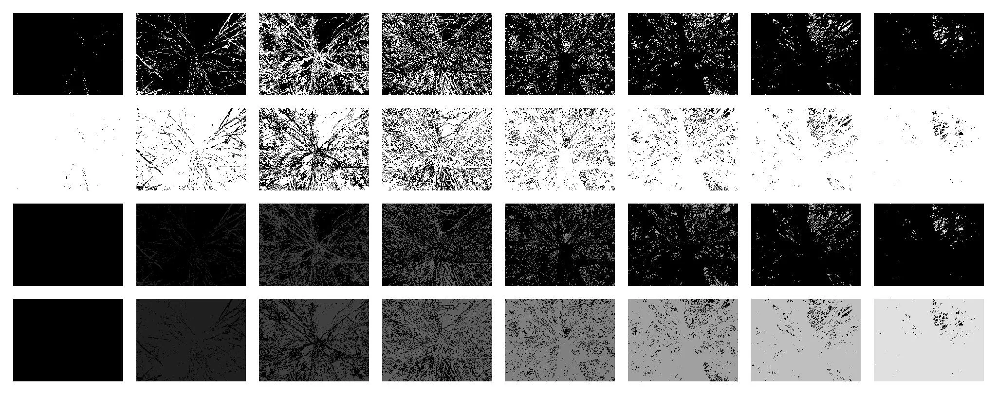 tree_partition_8.pgm