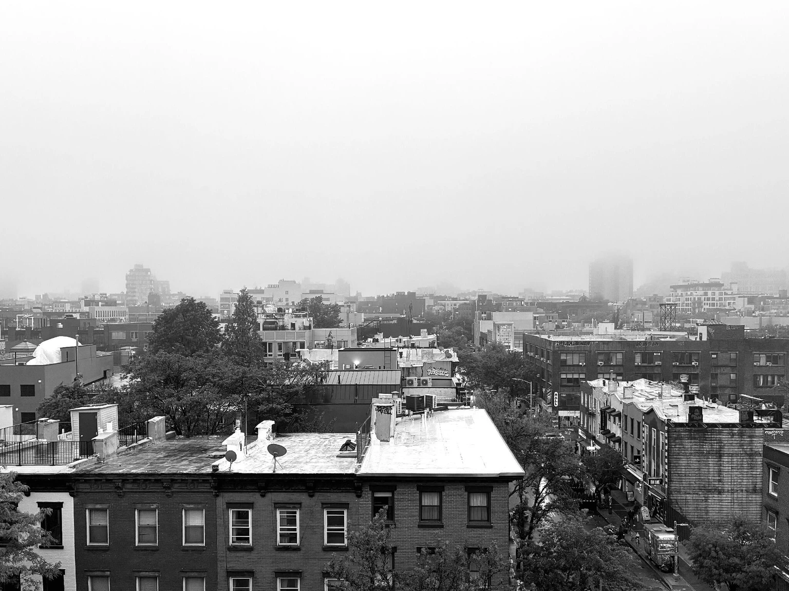 williamsburg_fog.jpg
