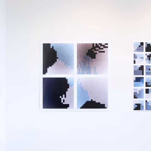 decluttering, exaptation installation