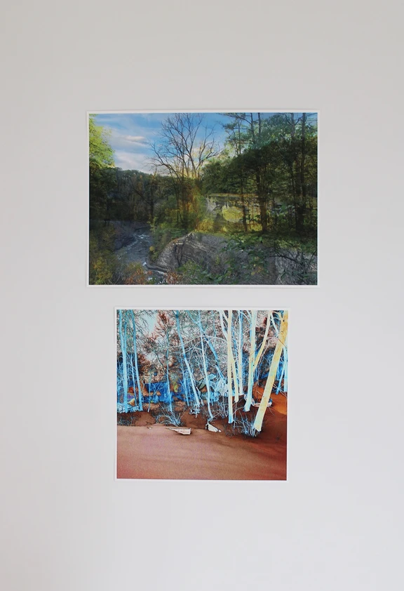 decluttering, exaptation installation